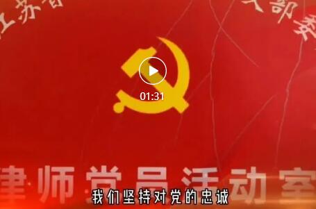 苏州是工业园区青年党员律师献礼七一