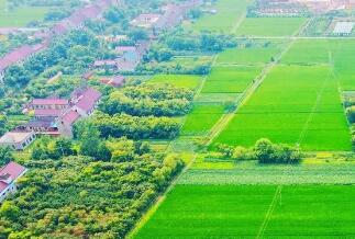 事关身份证申领、车检、新交通标志……10月新规来了！