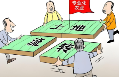 苏州律师王敏霞解读：技术赋能调解，破解土地租赁纠纷困局