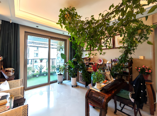 苏州 “三恒” 房梅雨季开窗发霉索赔案：租客为何担责？王敏霞律师深度解读