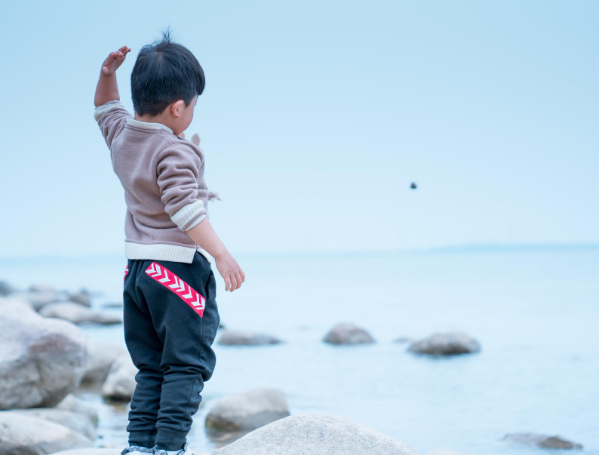 婚内支付非婚生子一方20万引发纠纷：赠与无效还是合理补偿？