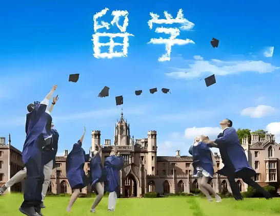 苏州律师解读：留学儿子归国追父遗，法定继承纠纷背后的法理与亲情